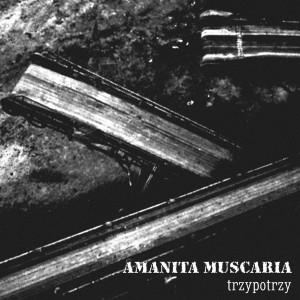 AMANITA MUSCARIA - Trzypotrzy  CD