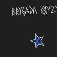 BRYGADA KRYZYS - ST LP