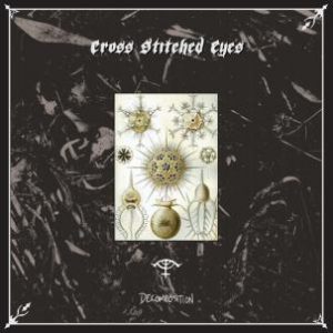 CROSS STITCHED EYES - Decomposition  LP