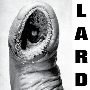 LARD - Power Of Lard  LP (color vinyl)