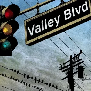 Mad Parade, The Steps, Chainsaw Pop – "Valley Blvd"  LP