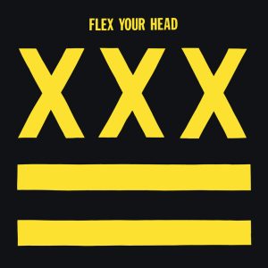 V/A – Flex your head LP
