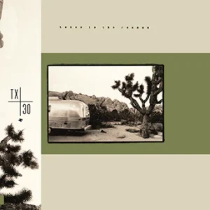 Texas Is The Reason - Texas Is The Reason: TX30 Special Edition  LP