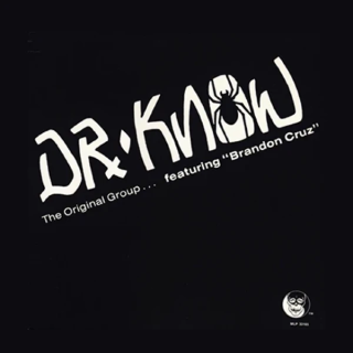 Dr Know - The Original Group LP