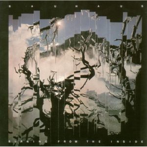 Bauhaus - Burning From The Inside LP