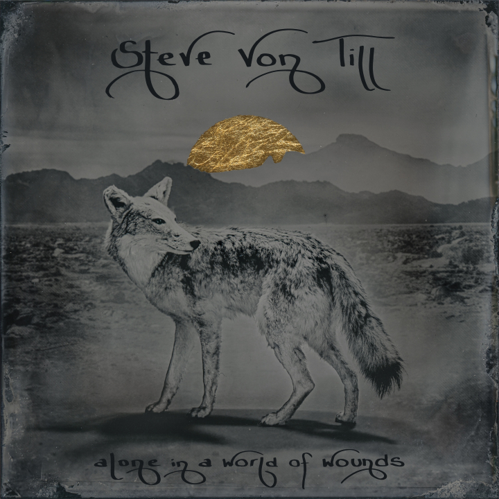 STEVE VON TILL - Alone In A World Of Wounds LP