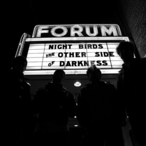 NIGHT BIRDS - The Other Side of Darkness LP
