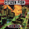 CITIZEN FISH - Life Size  MC