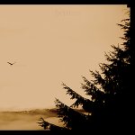Heiress – Early Frost LP