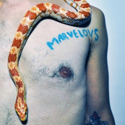 MARVELOUS DARLINGS - Single Life  LP