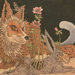 PLANES MISTAKEN FOR STARS - Prey  LP